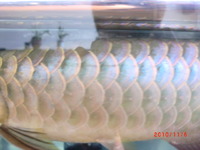 今日のワイブル 2010/11/06 12:38:52