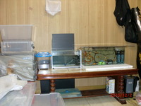 ストック部屋 2010/12/03 13:04:51