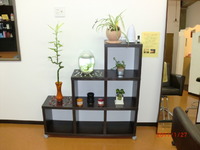 おしゃれな家具 2011/01/28 13:20:33