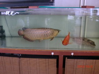 やっとで・・・ 2012/10/02 13:38:54