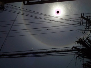 今日の太陽！