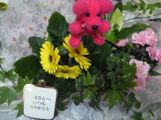 5月12日の記事