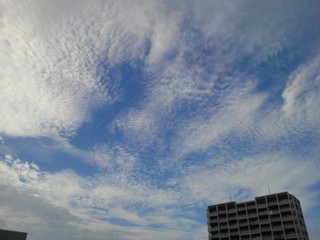 6月2日の記事