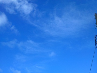 7月30日の記事