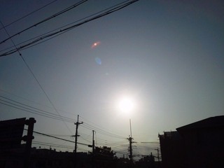 今日の太陽！