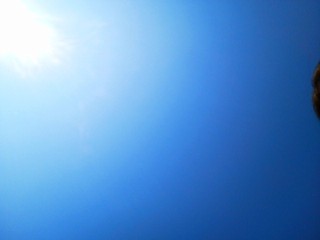 今日の太陽！