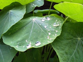 雨！