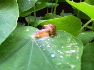 雨！