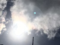 たんぽぽの精さんがブログをアッ… 2017/10/21 15:10:01