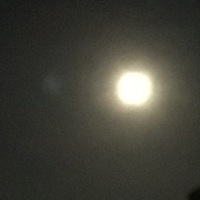 12月19日の記事 2016/12/19 17:07:57
