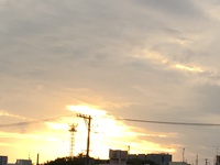 11月26日の記事 2017/11/26 03:56:52