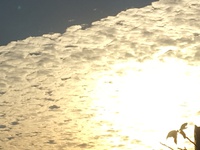 今日の空 2017/02/03 07:10:01