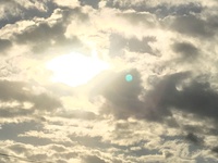 昨日の空！ 2016/11/14 16:44:49