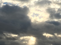 今日の空 2017/01/24 13:06:30