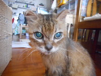 瞳も老化？ 2019/08/05 11:57:26