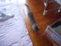 らんちゃんに起こされた♪ 2019/08/24 11:23:55