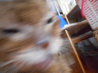 お鼻が・・・ 2019/09/24 11:04:00