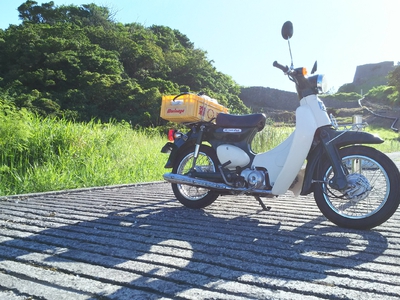 山とラッタッタと散歩道 リトルカブとの出会い