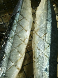 わた のソース！大人の味！ 2014/10/08 18:11:36