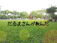 だるまさんが転んだ。 2013/05/06 08:27:39