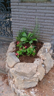 花壇作り替え ポインセチアの寄せ植え ミニトマト パプリカ ハンダマ エンジョイ マナー らいふ