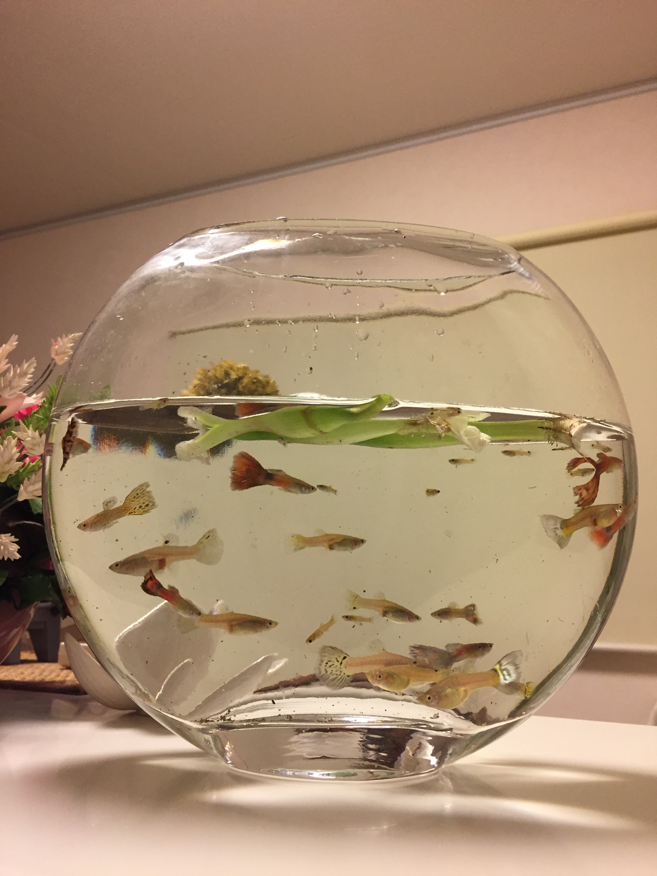 予約状況