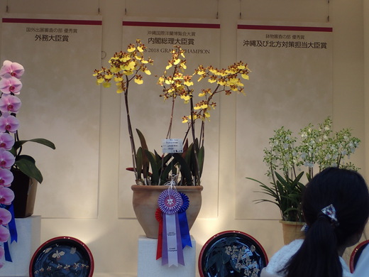 ２０１８年沖縄国際洋蘭博覧会