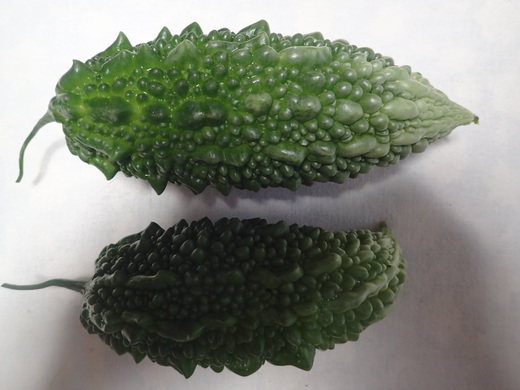 沖縄の植物です、ゴーヤが実おつけました