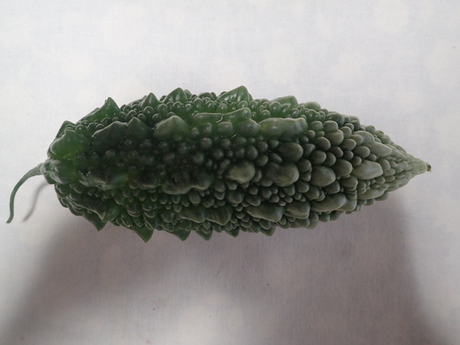 沖縄の植物です、ゴーヤが実おつけました