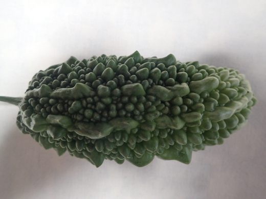 沖縄の植物です、ゴーヤが実おつけました