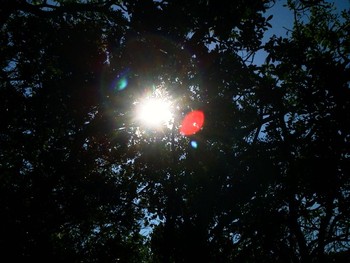 太陽！