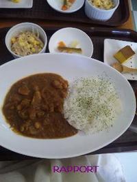 ハバナカレー