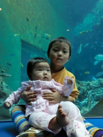 ちゅら海水族館・・・その③