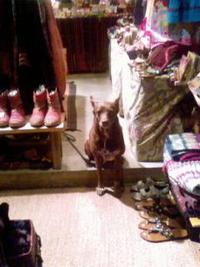 営業妨害 2009/01/27 12:06:11