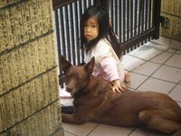 玄関先で 2009/01/28 15:54:00
