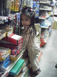 最近のブーム 2009/02/12 11:30:51