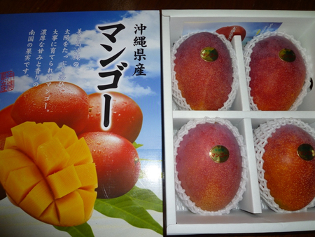 マンゴー☆