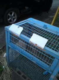 看板。。(゜∇゜) 2012/01/13 18:43:04
