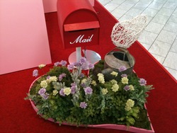 ハートの花壇