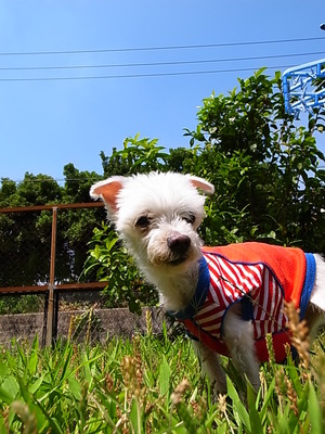 空ちゃん、大地を踏む♪