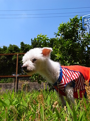 空ちゃん、大地を踏む♪