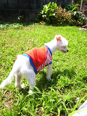 空ちゃん、大地を踏む♪