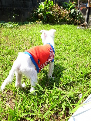 空ちゃん、大地を踏む♪
