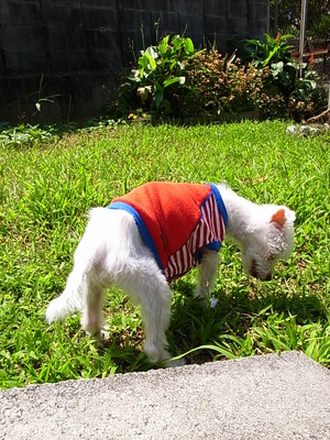 空ちゃん、大地を踏む♪