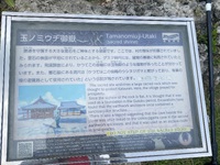 勝連城跡の帰り道