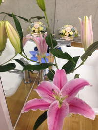 ピンクの百合とスッテカーと今夜のCASは♪ 2015/03/07 14:37:30