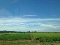 広い空が好き♪ 2014/08/03 15:57:43