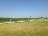 日向ぼっこ「あらかわ」 2014/04/27 17:04:37
