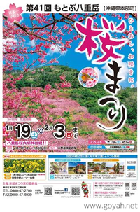 日本一早い桜の開花！沖縄は冬を通り越して春の予感！笑