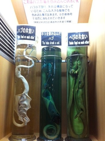 沖縄再発見の旅～☆